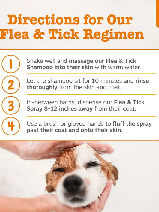 Fresh Start Pet Wash & Protect – 16 oz Shampoo & 16 oz Flea & Tick Spray